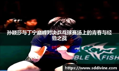 孙颖莎与丁宁巅峰对决乒乓球赛场上的青春与经验之战