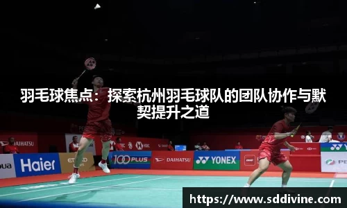 羽毛球焦点：探索杭州羽毛球队的团队协作与默契提升之道