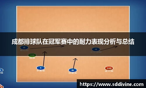 成都排球队在冠军赛中的耐力表现分析与总结