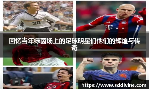 回忆当年绿茵场上的足球明星们他们的辉煌与传奇